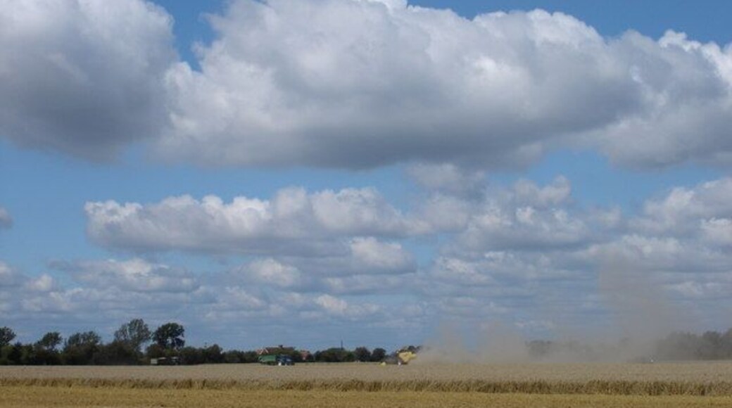 Gathering in the Harvest Outside Ivychurch