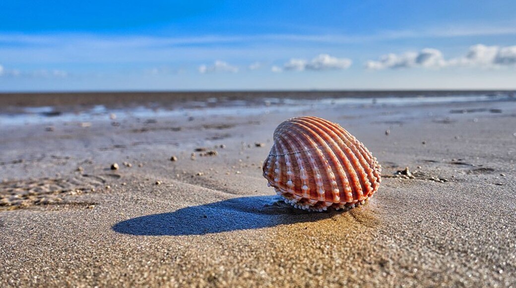 February 2016
A beautiful winter's day at Dungeness. Situated on the South coast of England Dungeness has a very unusual landscape. The sandy beach is so level that the tide goes out by nearly a mile.
The world renown Pilot pub and restaurant serves a delicious locally caught selection of fish. A great place to wander amongst the old fishing boats or stroll along the miles of sandy beach.
#Beachbound