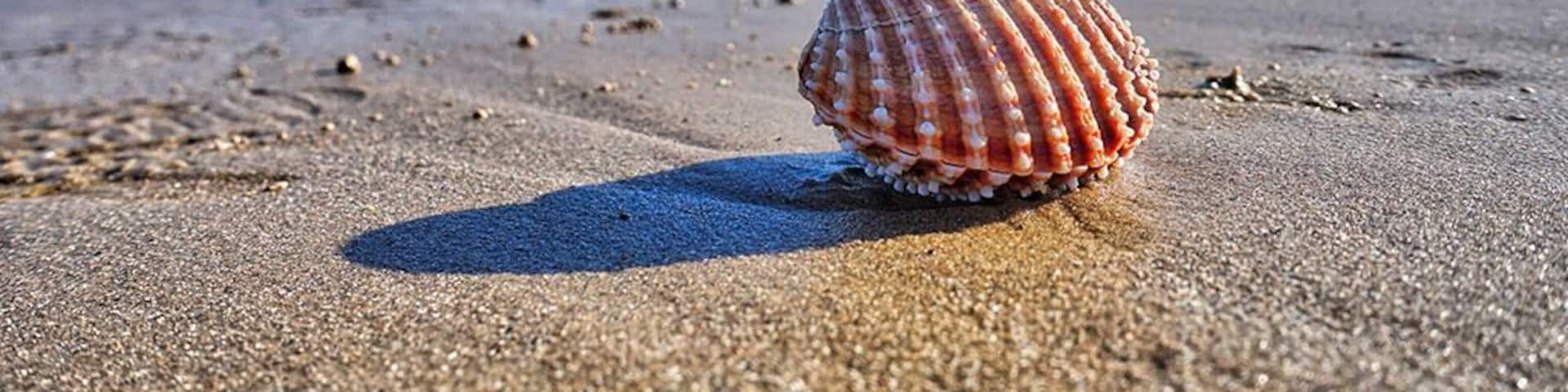 February 2016
A beautiful winter's day at Dungeness. Situated on the South coast of England Dungeness has a very unusual landscape. The sandy beach is so level that the tide goes out by nearly a mile.
The world renown Pilot pub and restaurant serves a delicious locally caught selection of fish. A great place to wander amongst the old fishing boats or stroll along the miles of sandy beach.
#Beachbound