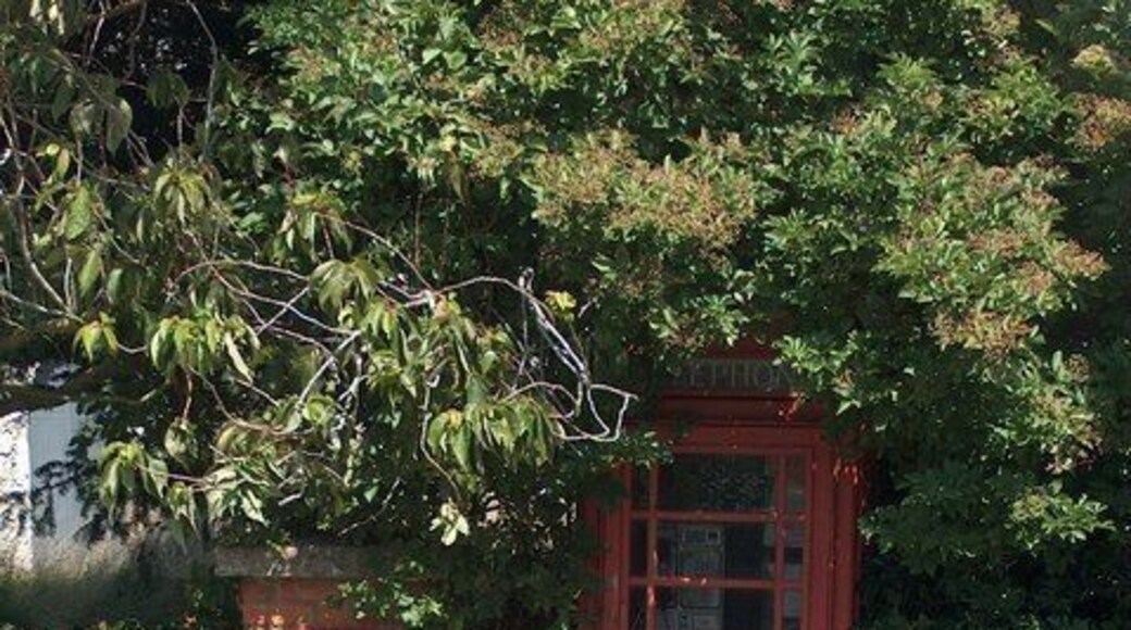 Public phone box at Ivychurch With mobile phones so widespread, how long will it be before these traditional red phone boxes disappear from our landscape?