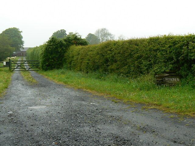 Henllanfallteg