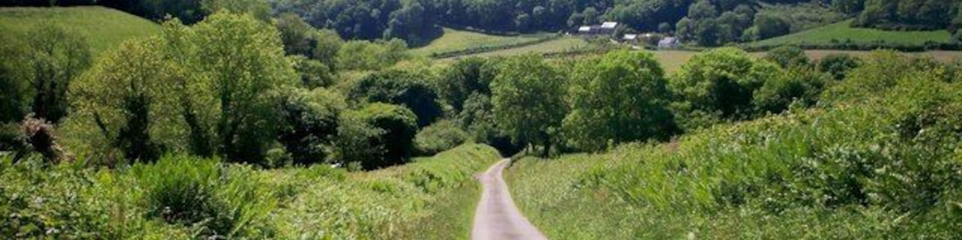 Un camino rural serpentea entre campos verdes y ondulantes colinas.