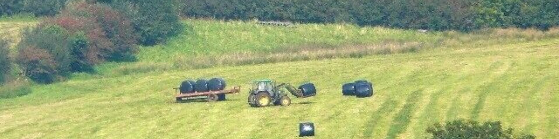Loading the bales, near to Red Roses, Carmarthenshire/Sir Gaerfyrddin, Wales. The tractor does all the work of loading the bales of silage