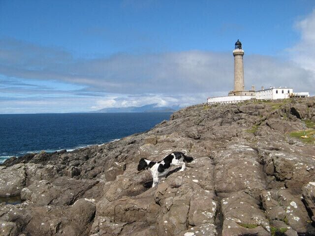 Una costa rocosa con un faro y un perro sobre las rocas.