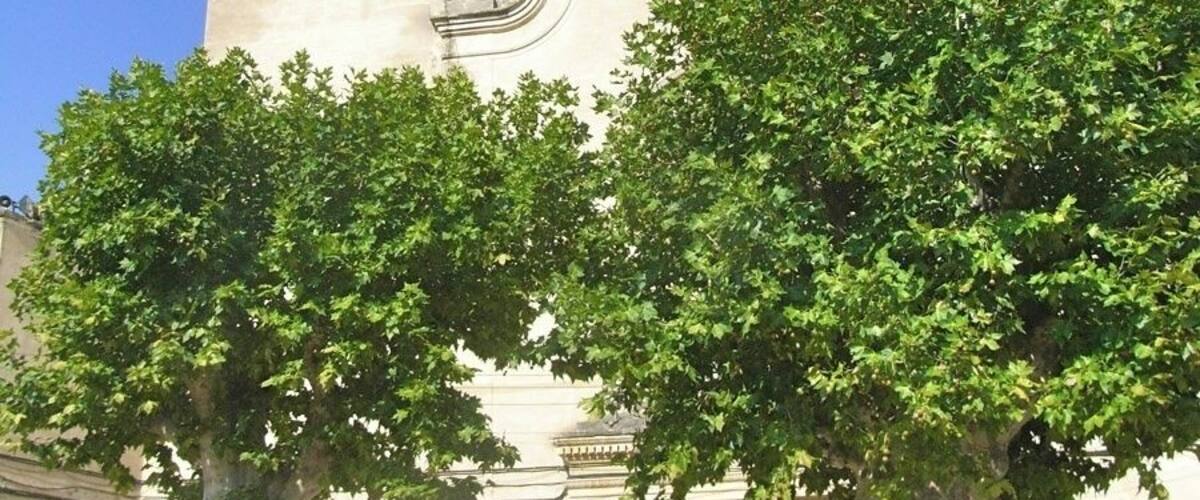 Torrelles de Foix, església de Sant Genís