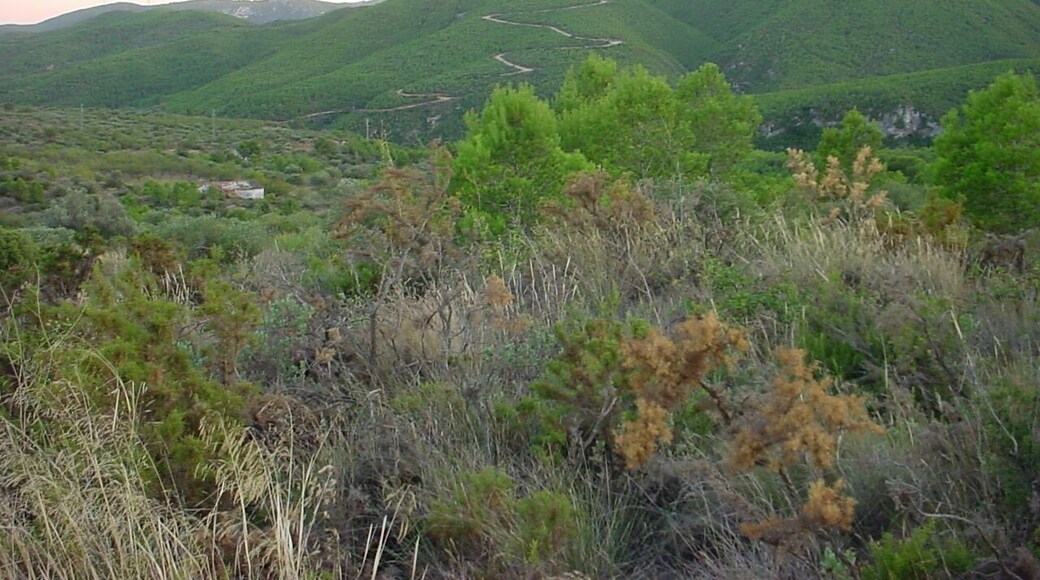 kacskaringó (itt készült)