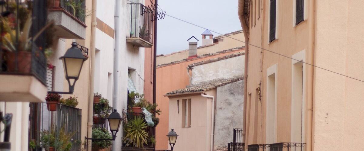 A narrow cobblestone street flanked by historic buildings with balconies and potted plants.