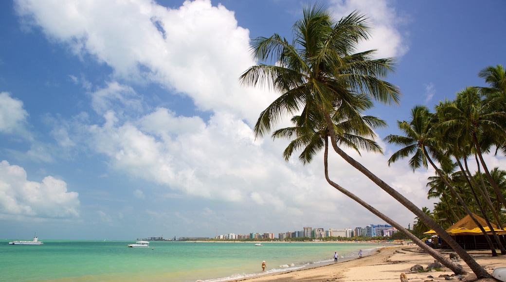 Pajucara Beach featuring tropical scenes, a sandy beach and general coastal views