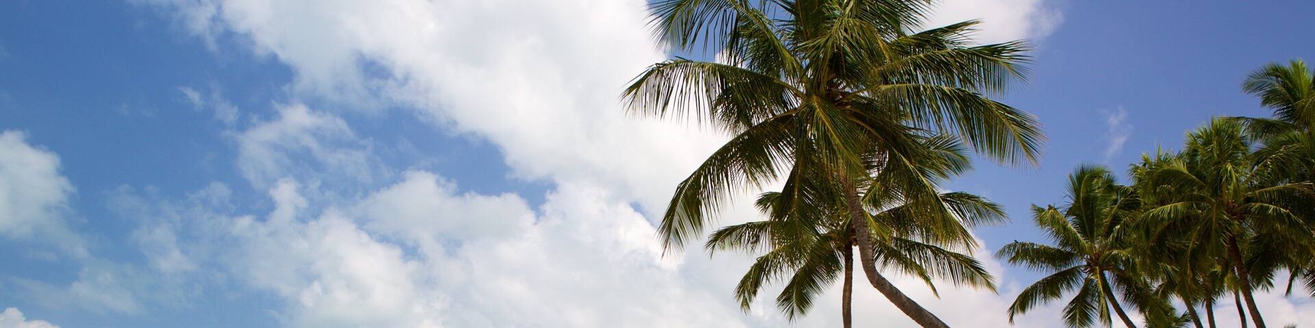 Pajucara Beach featuring tropical scenes, a sandy beach and general coastal views