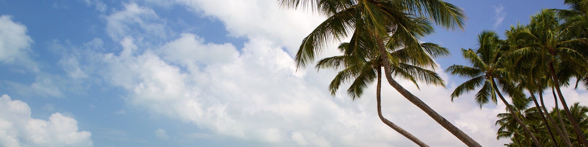 Pajucara Beach featuring tropical scenes, a sandy beach and general coastal views