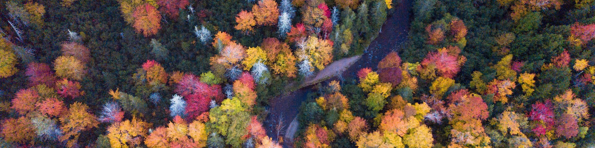 Beautiful aerial views of autumn fall foliage landscape in Wentworth valley, Nova Scotia. Autumn colors of Nova Scotia, Canada