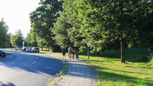 View of park and empty road with people on sidewalk in Itzehoe, Germany with bright sunny sky background.
