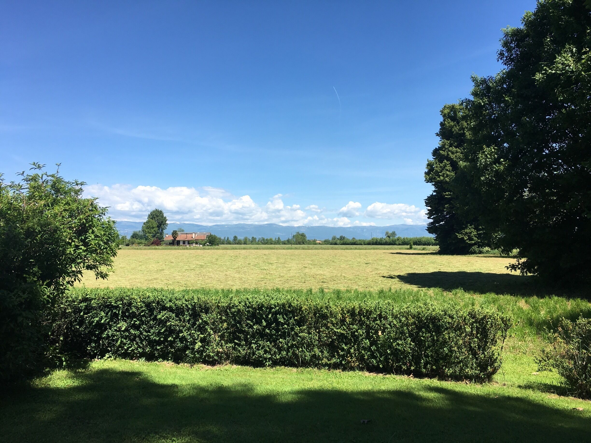 A rural landscape with a field, a hedge, and a distant house.
