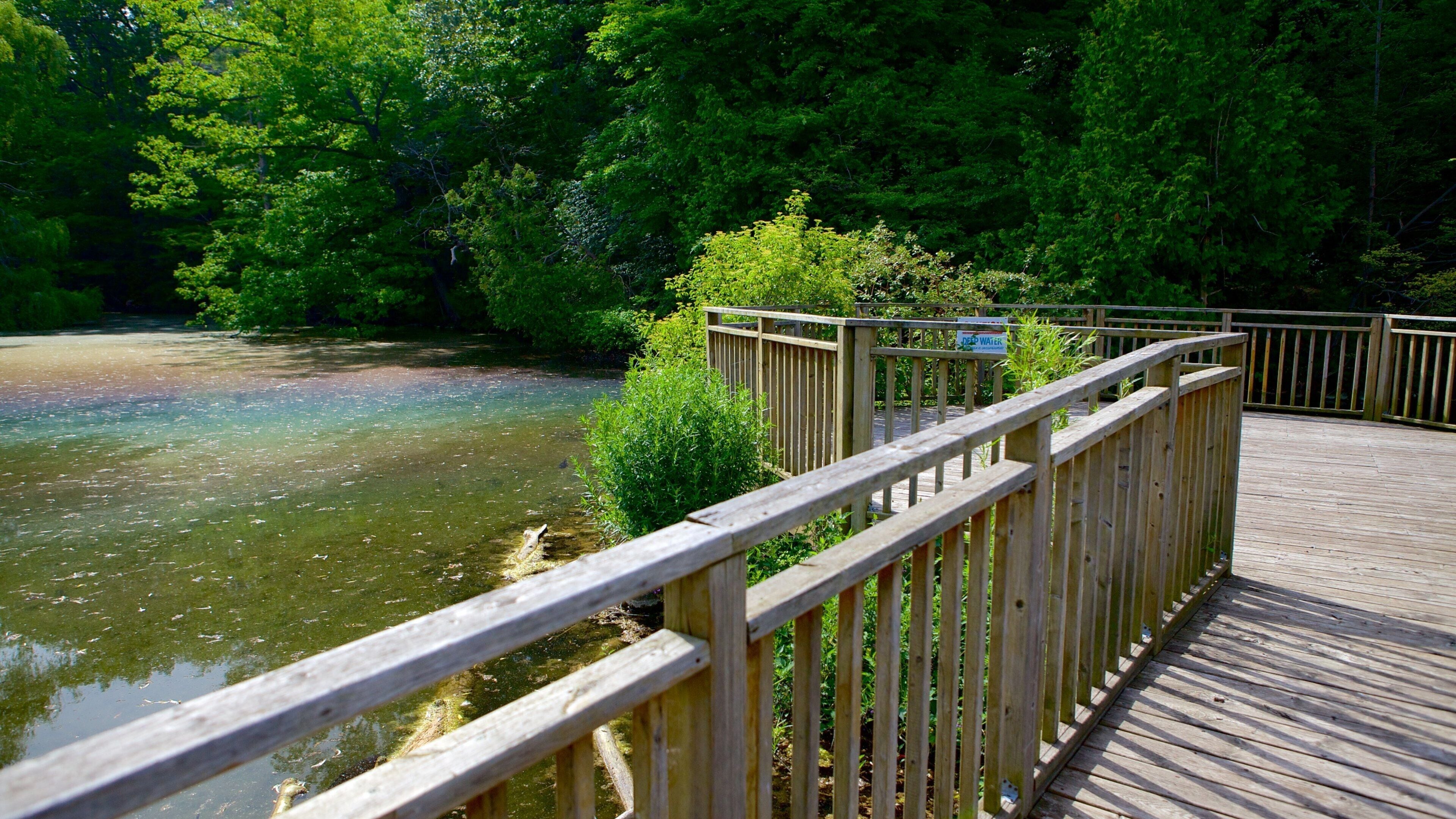 Storybook Gardens featuring a pond and a bridge