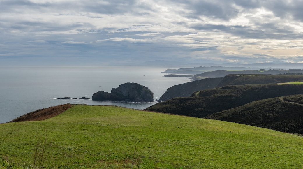 view of the wild and savage coast at the Cabo de Penas in Asturias