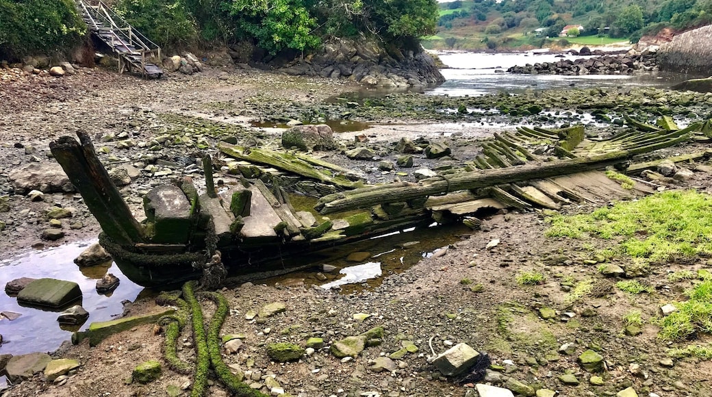 When the tide goes down, in El Dique.