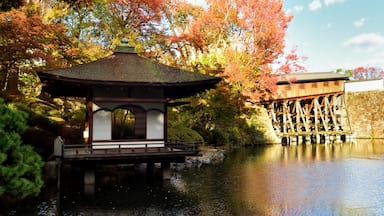 Momijidani Garden at autumn season in Wakayama, Wakayama Prefecture, Japan