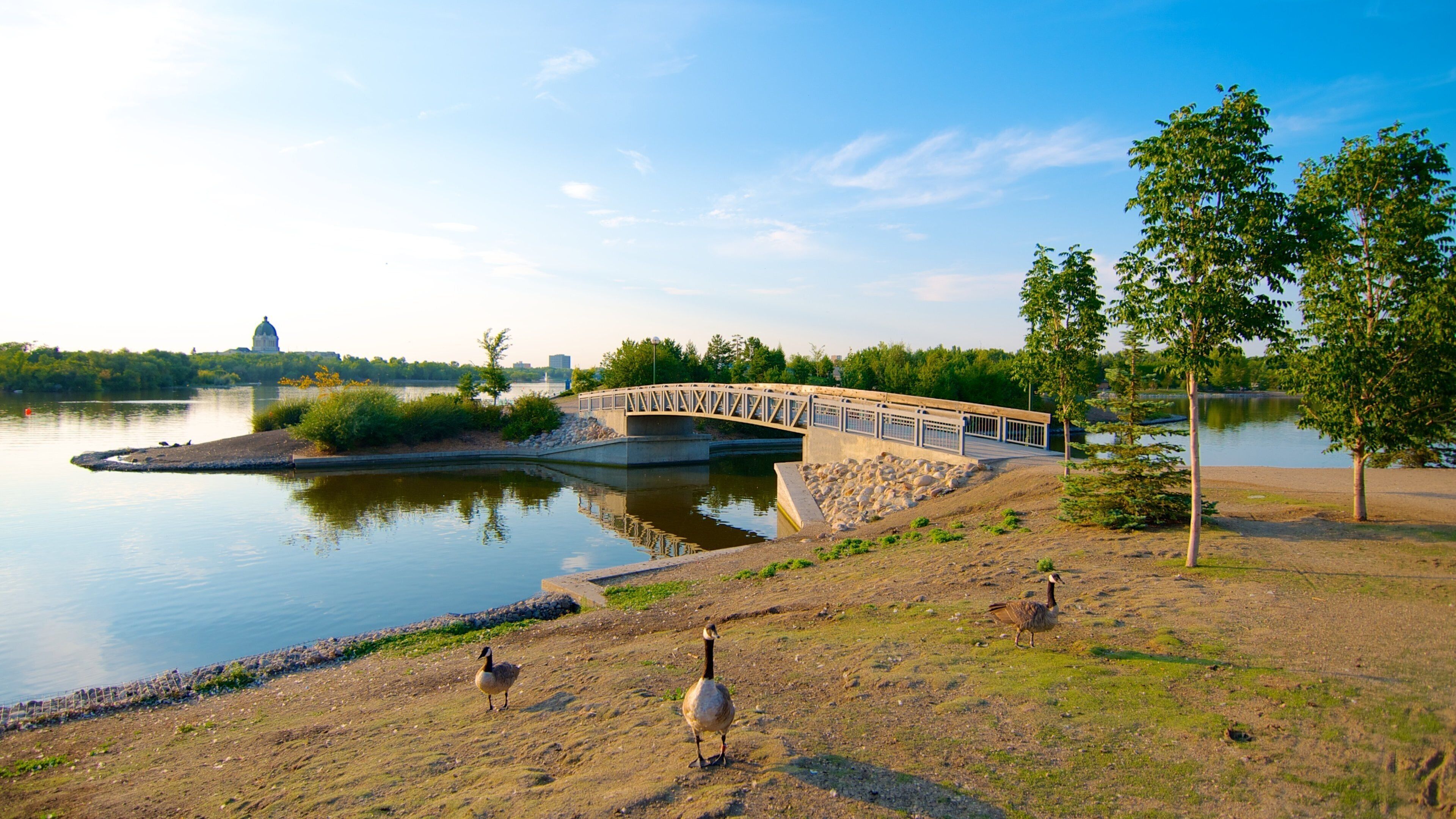 Wascana Park inclusief vogels, landschappen en een park