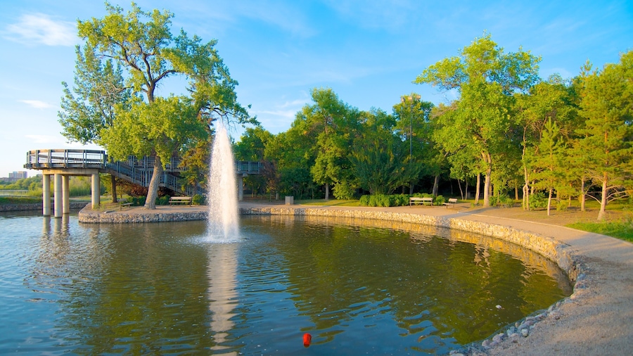 Wascana Park showing a garden, a fountain and a pond