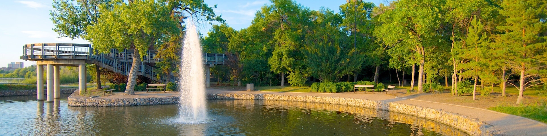 Wascana Park showing a garden, a fountain and a pond