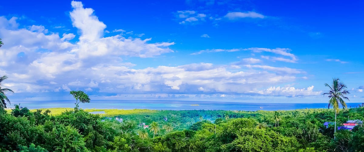 A tropical landscape with dense greenery, a clear blue sky, and a view of the ocean.