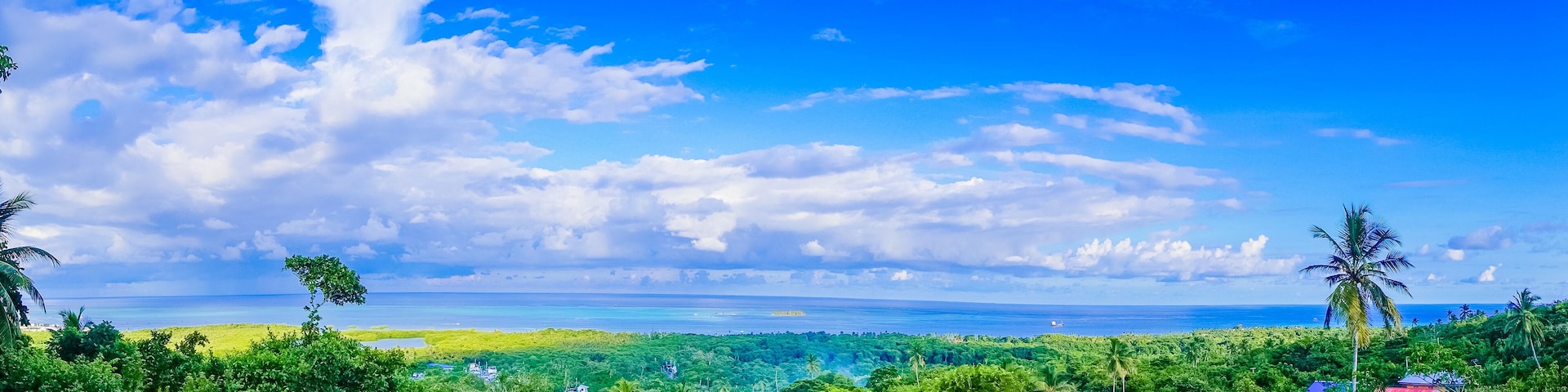 A tropical landscape with dense greenery, a clear blue sky, and a view of the ocean.