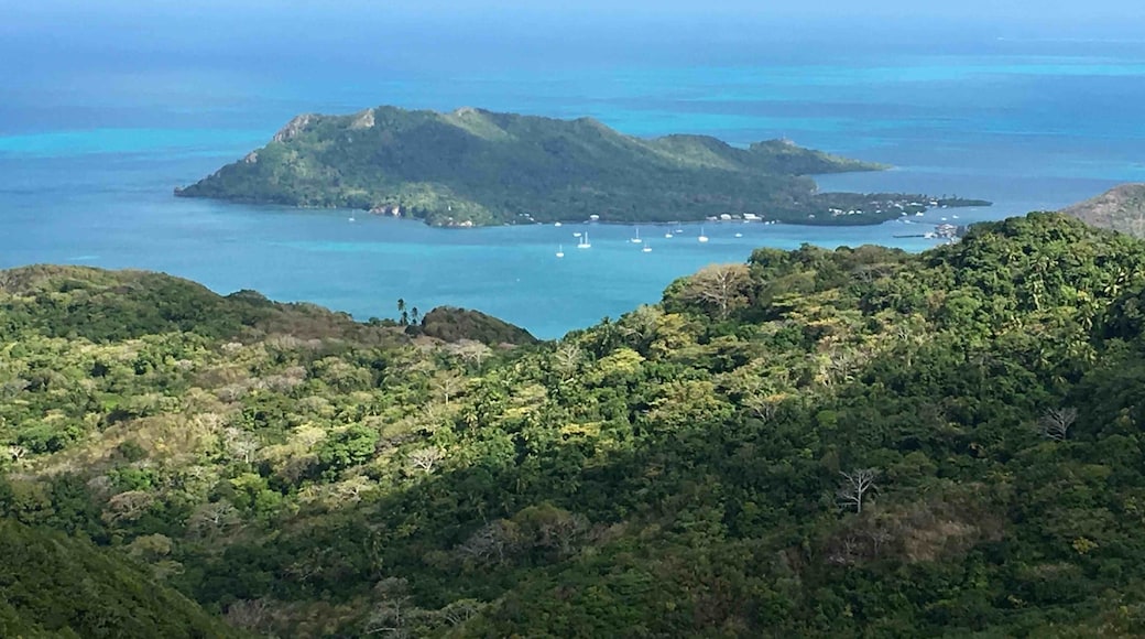 #takeahike to the Peak for the Best View of Santa Catalina