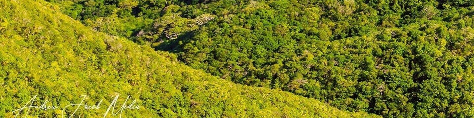 A lush green island surrounded by turquoise waters.