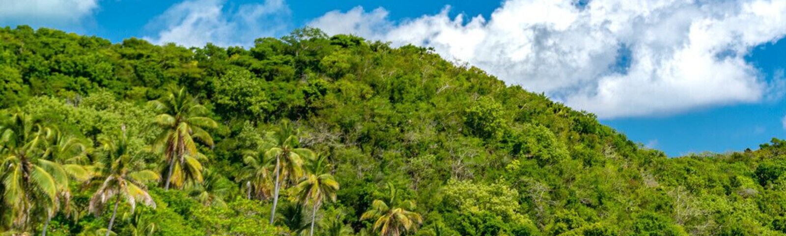 Find your paradise. This is actually the best beach travel spot I’ve ever been. Check it out before it blows up and people realize Colombia isn’t scary #islandvibes #providencia #sanandres #islands #beach #blue #water #palmtrees #paradise #colombia #southamerica #blueskies #travel