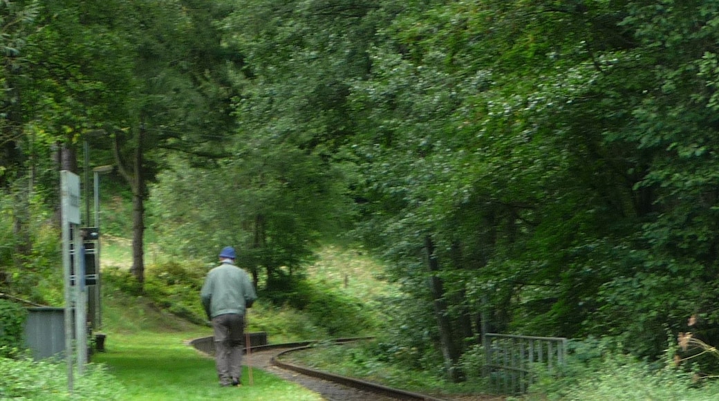 Gleise des Kuckucksbähnels