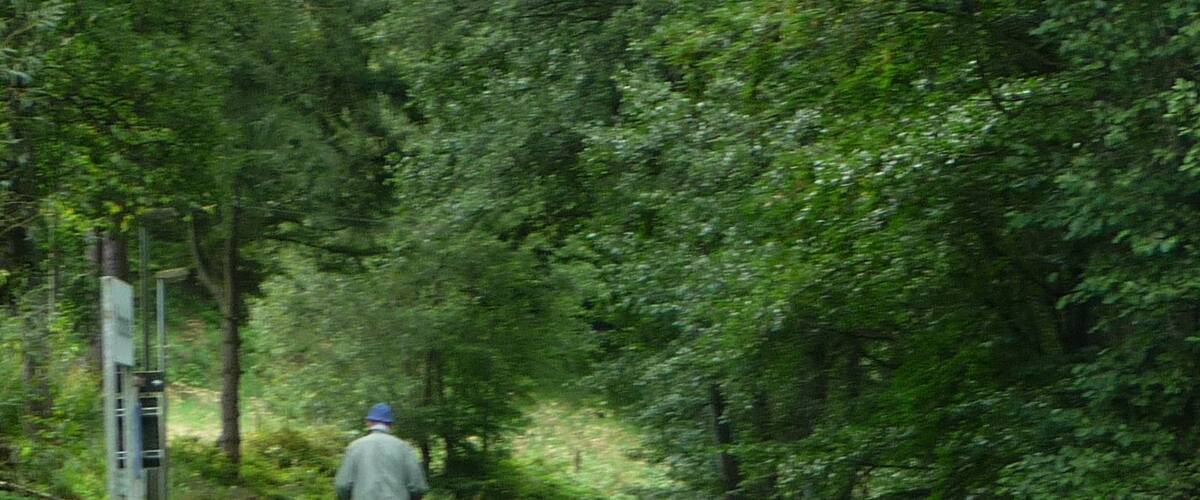 A railway track curving through a wooded area with a person walking on the grass beside it.