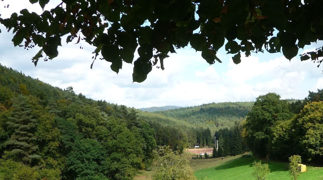 Blick von Esthal zum ASV-Stadion