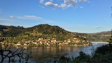 A riverside town with a bridge, surrounded by hills and vineyards.