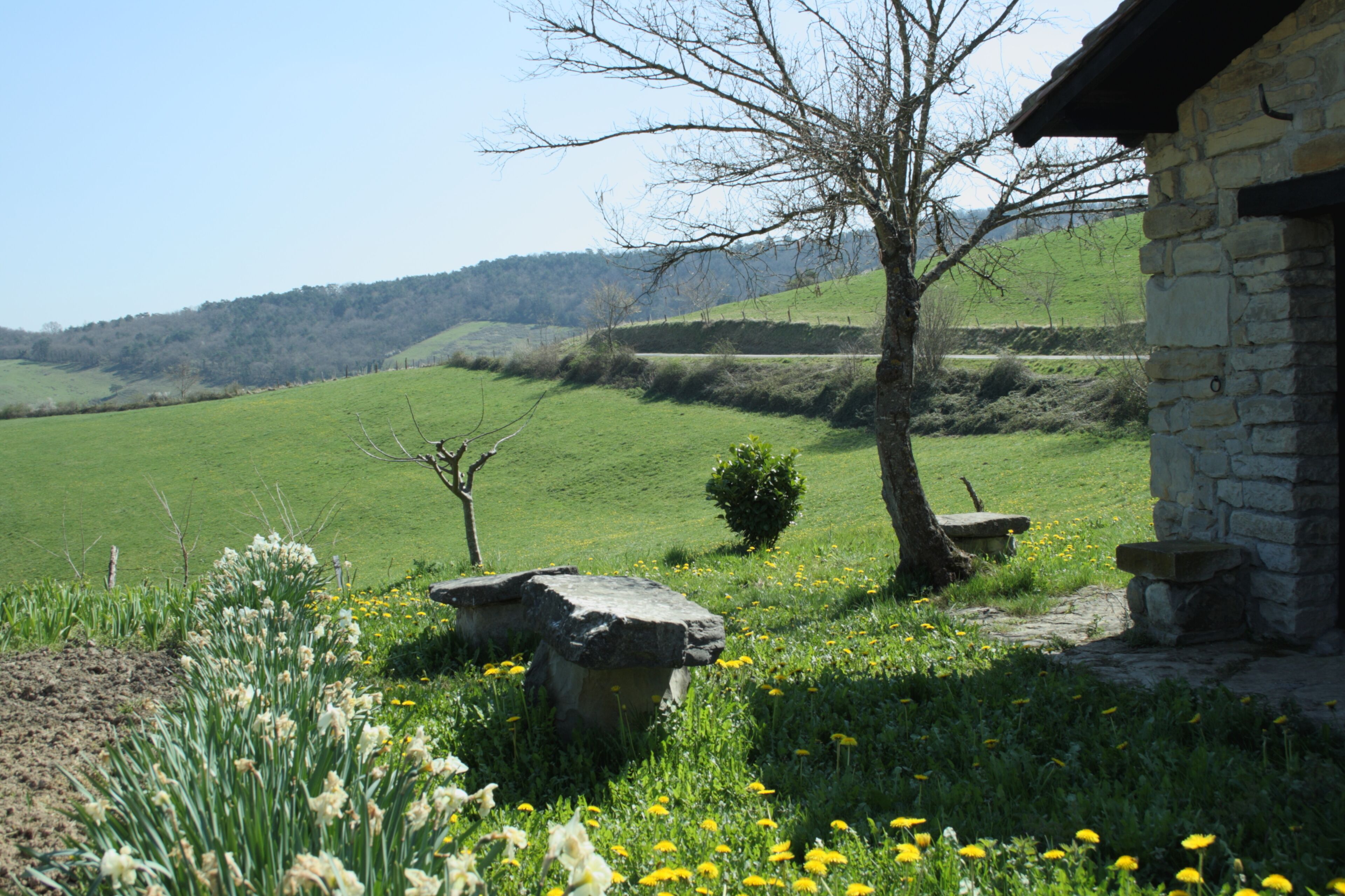 Pequeño jardín Oceca