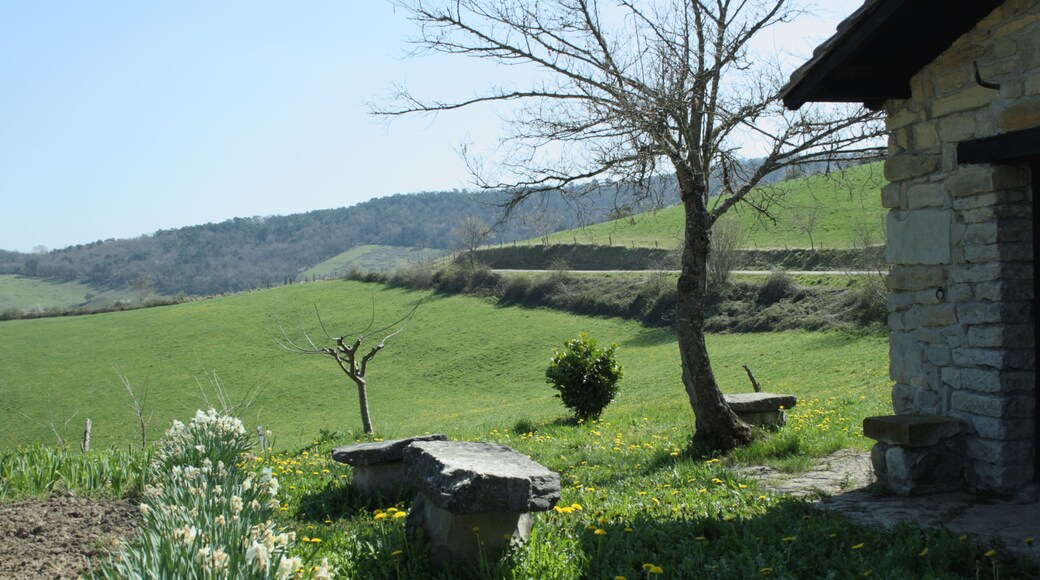 Pequeño jardín Oceca