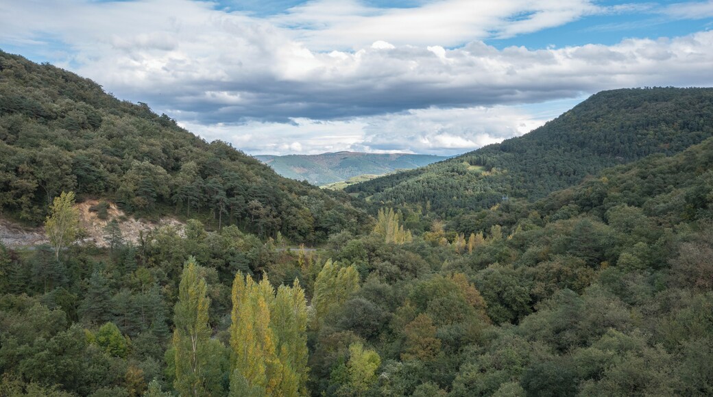 Woods seen from the concrete dam of the Maroño reservoir. Álava, Basque Country, Spain