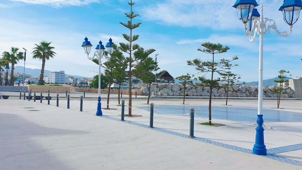A coastal promenade with blue street lamps, palm trees, and a stone wall.