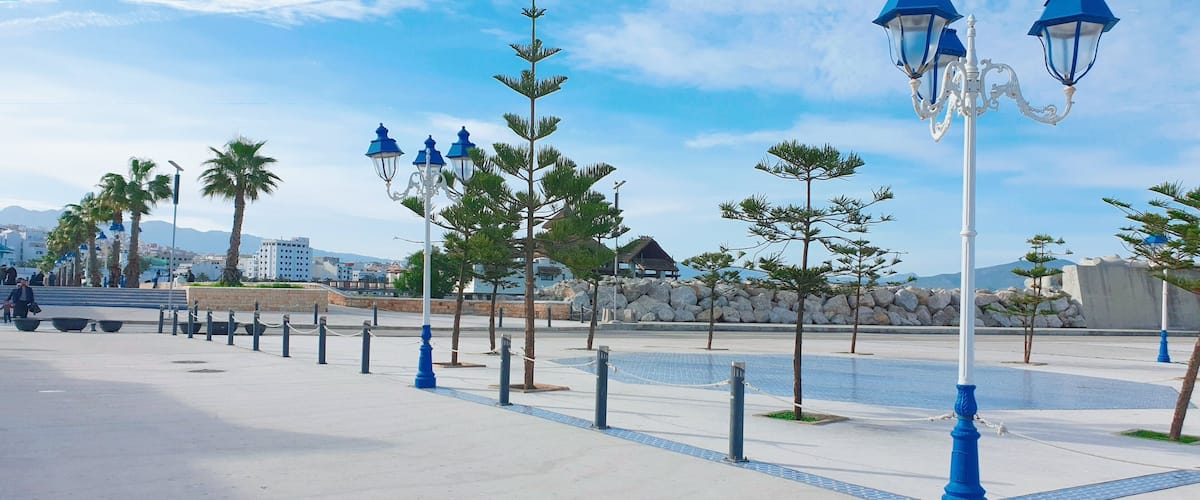 A coastal promenade with blue street lamps, palm trees, and a stone wall.