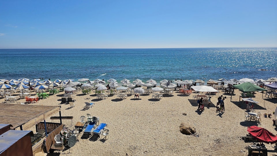 A beach with numerous umbrellas and sun loungers.