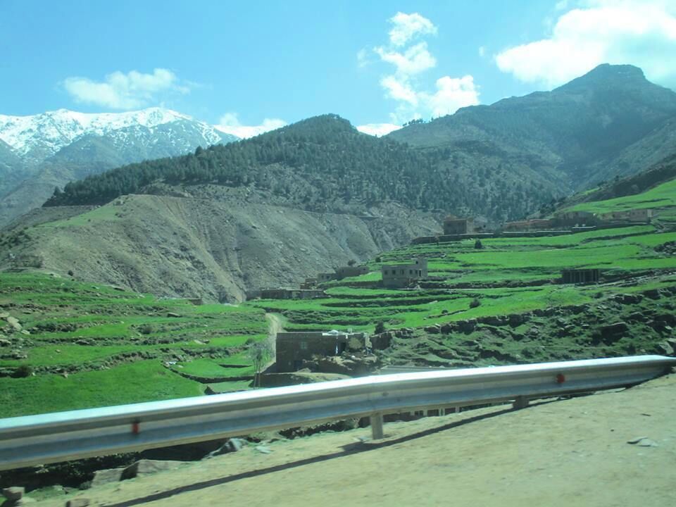Driving down from Ouikameden towards the town of Ourika on the valley floor, you pass terraced farmland set against the rugged terrain of the High Atlas Mountains.

My camera did not do justice to the contrasting landscapes in this shot.

#nature
https://davenotravels.blog