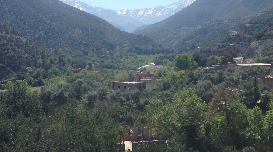 The stunning atlas mountains đđ»