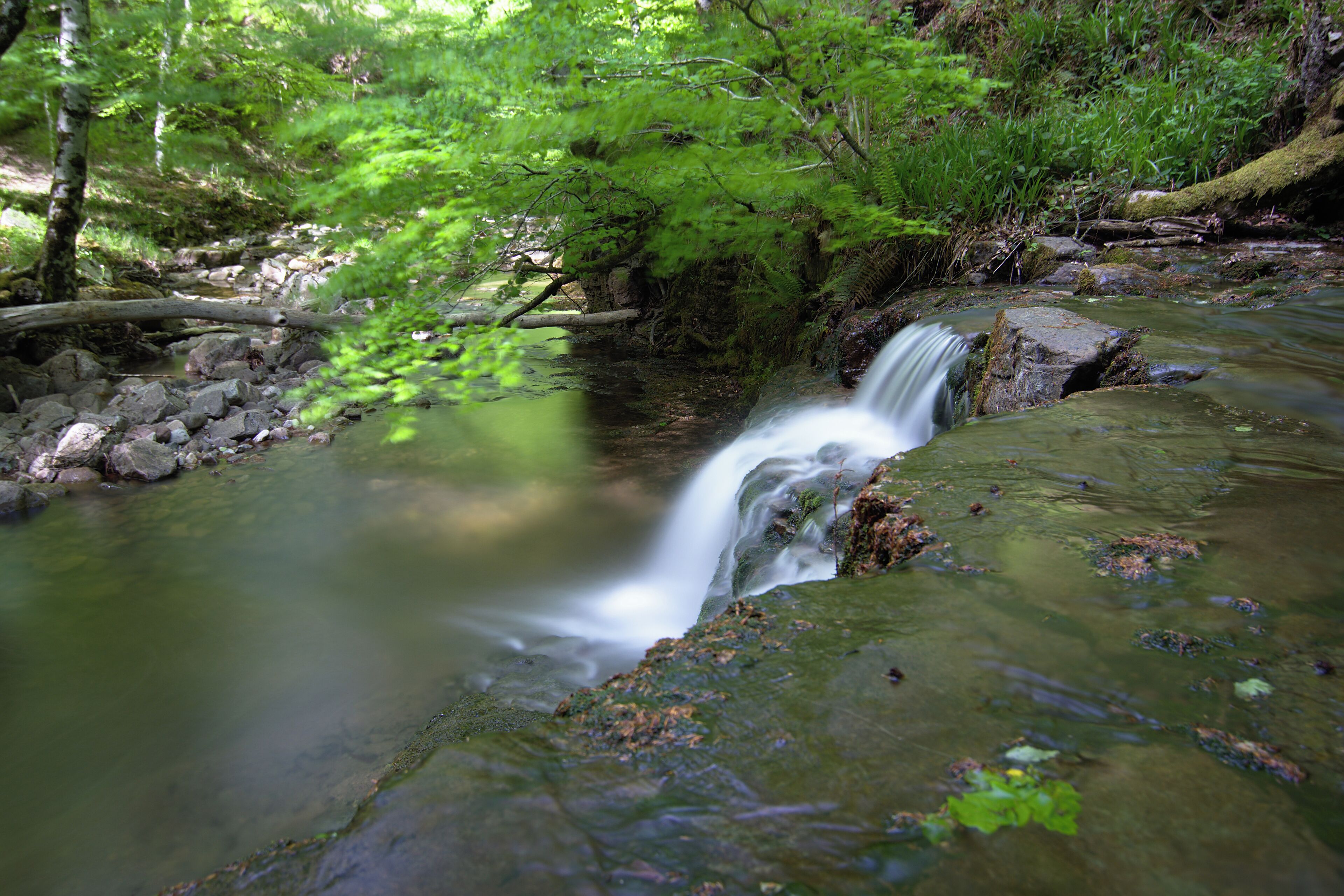 This is a photography of a Special Area of Conservation in Spain with the ID: