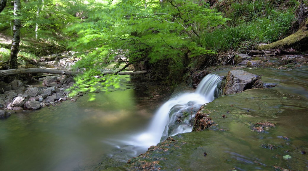 This is a photography of a Special Area of Conservation in Spain with the ID: