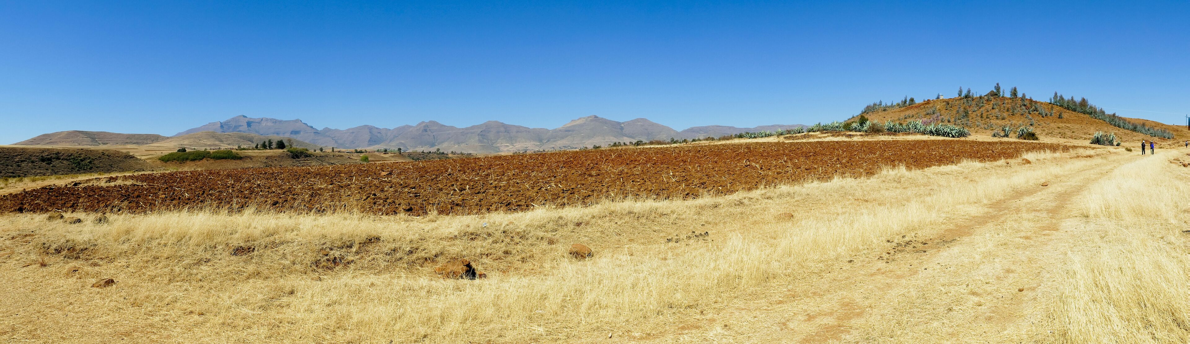 Landscape in Lesotho - Dragon mountains