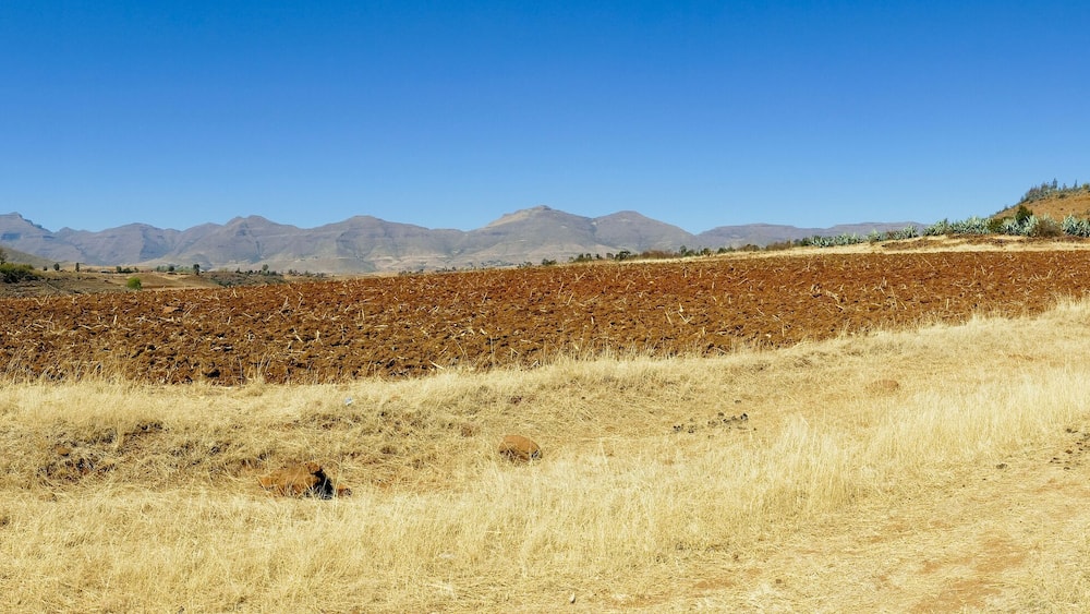 Landscape in Lesotho - Dragon mountains