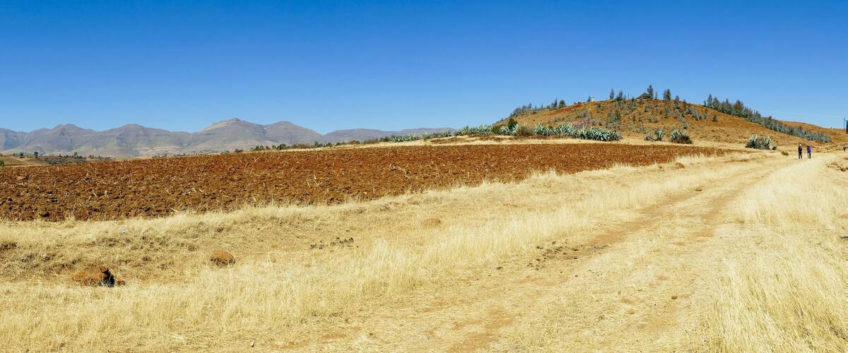 A dry, expansive landscape with a dirt road, a hill with sparse vegetation, and distant mountains under a clear blue sky.