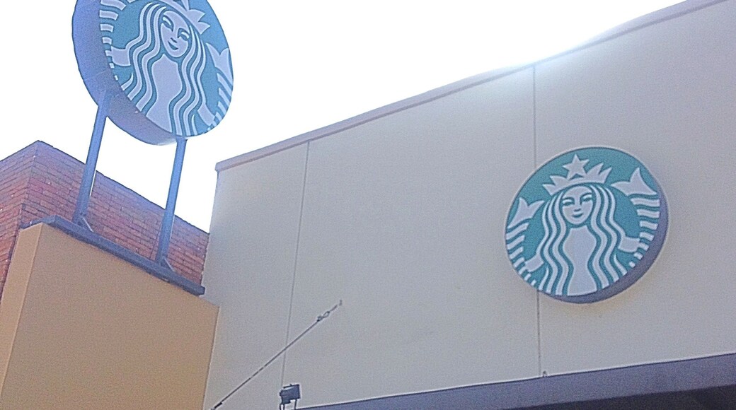 EXCELLENT WIFI AND EXCELLENT SERVICE !