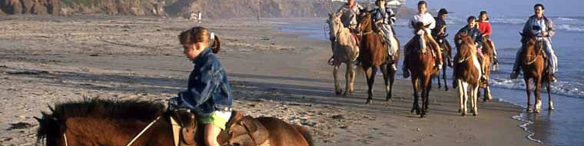 Horseback riding while drinking beer and trying to get the horse to go into the ocean results in almost breaking your ass when it throws you off! Not recommended!