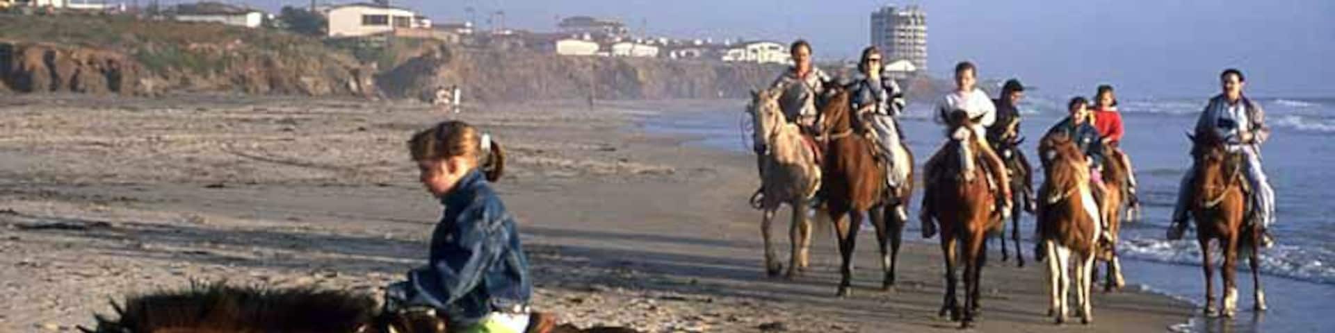 Horseback riding while drinking beer and trying to get the horse to go into the ocean results in almost breaking your ass when it throws you off! Not recommended!