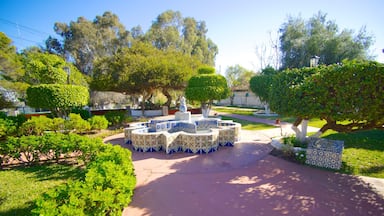 Ensenada ofreciendo un parque